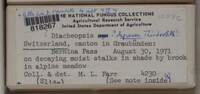 Image Associated With the Occurence